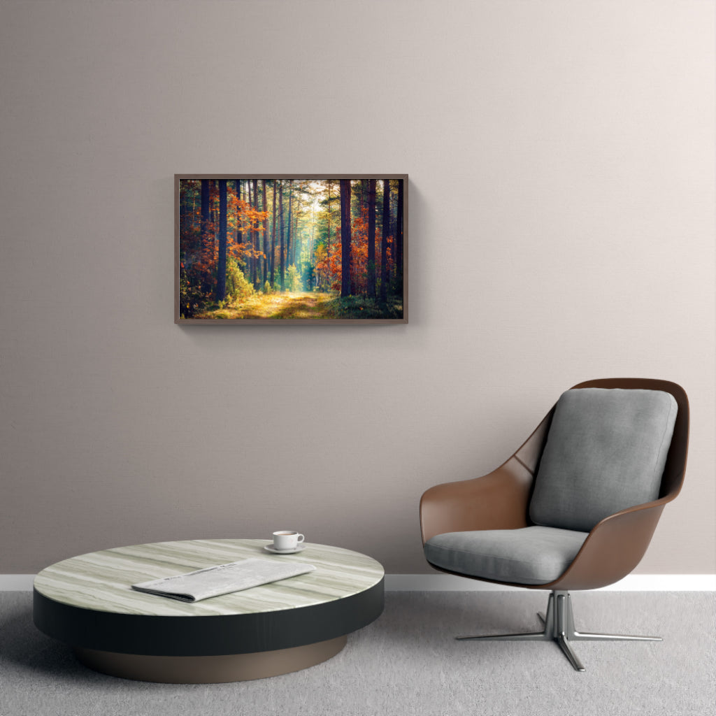 Golden Woodland Trail