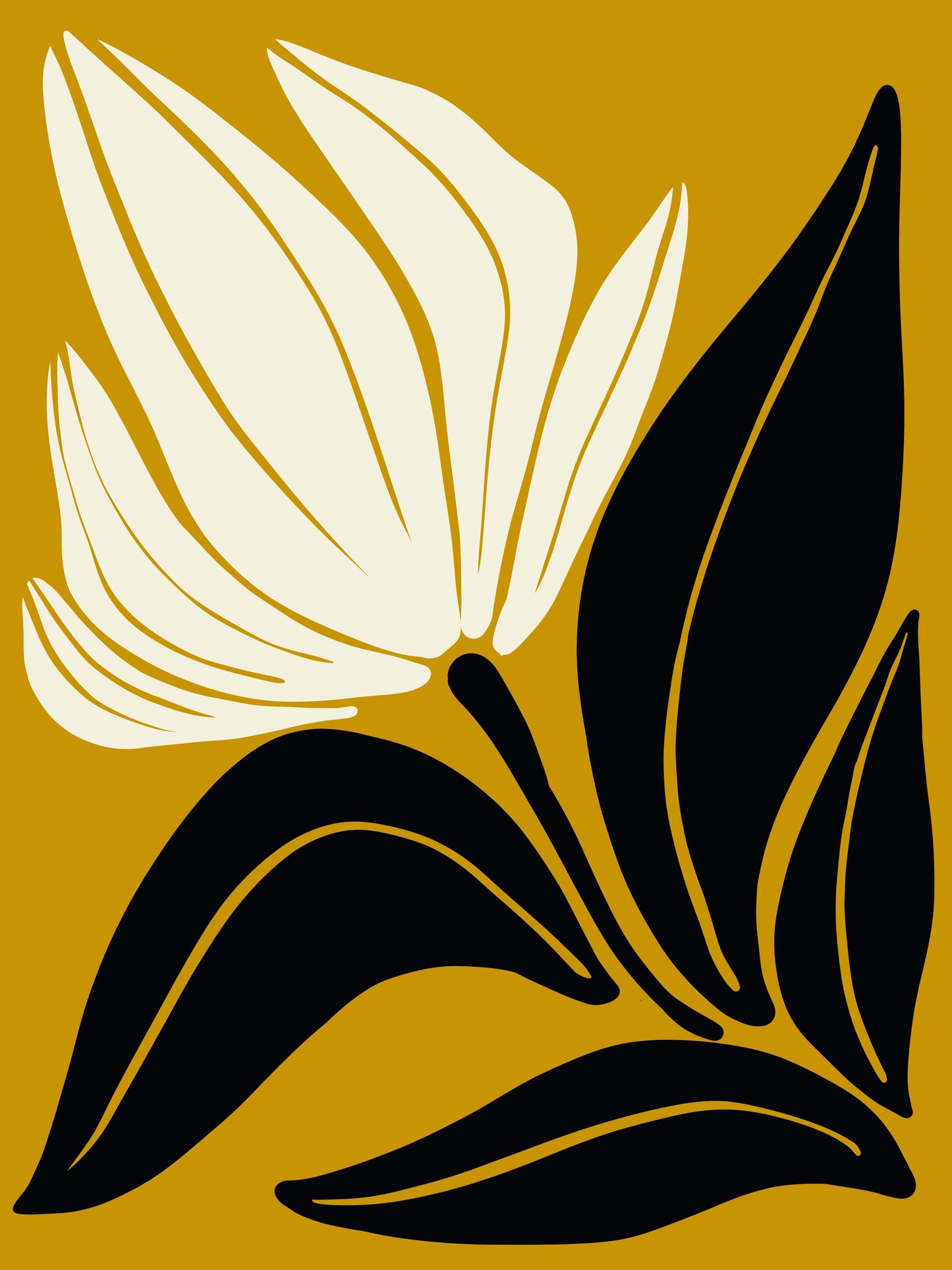 Botanical Beauty