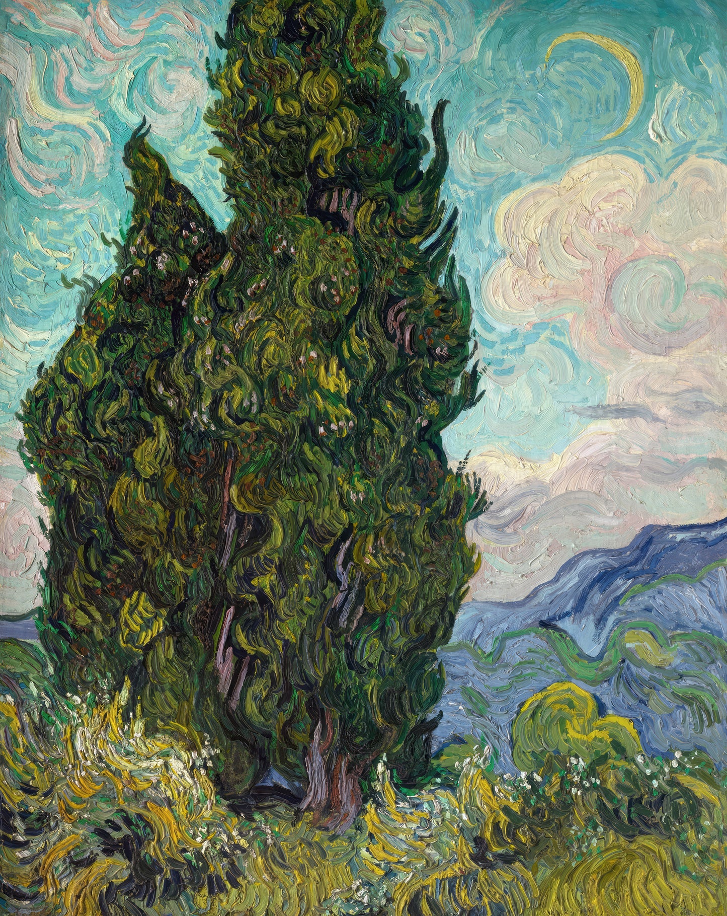Twilight Cypress - Nature's Majesty