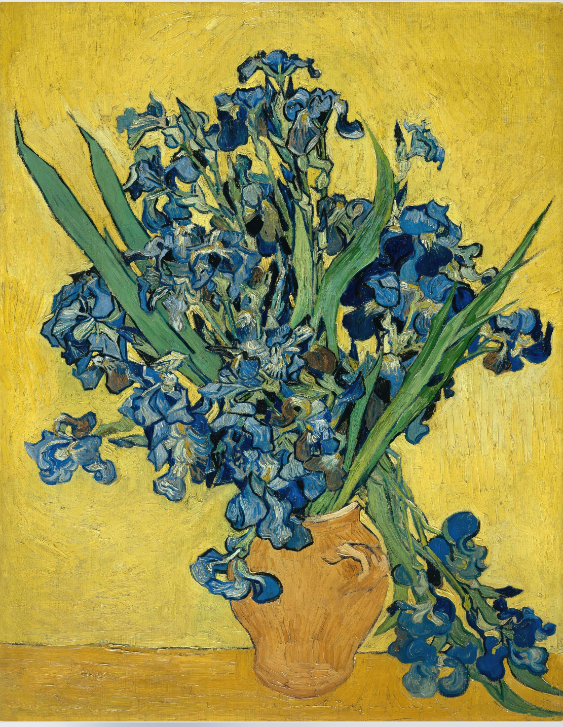 Golden Irises - Vibrance in Yellow
