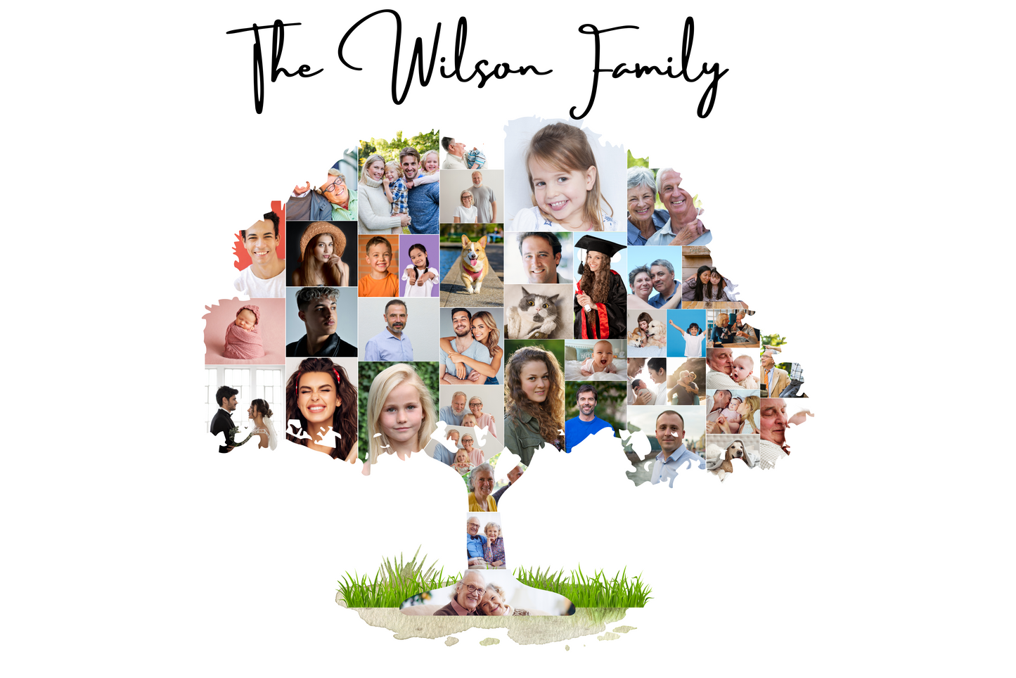 Family Tree Photo Collage