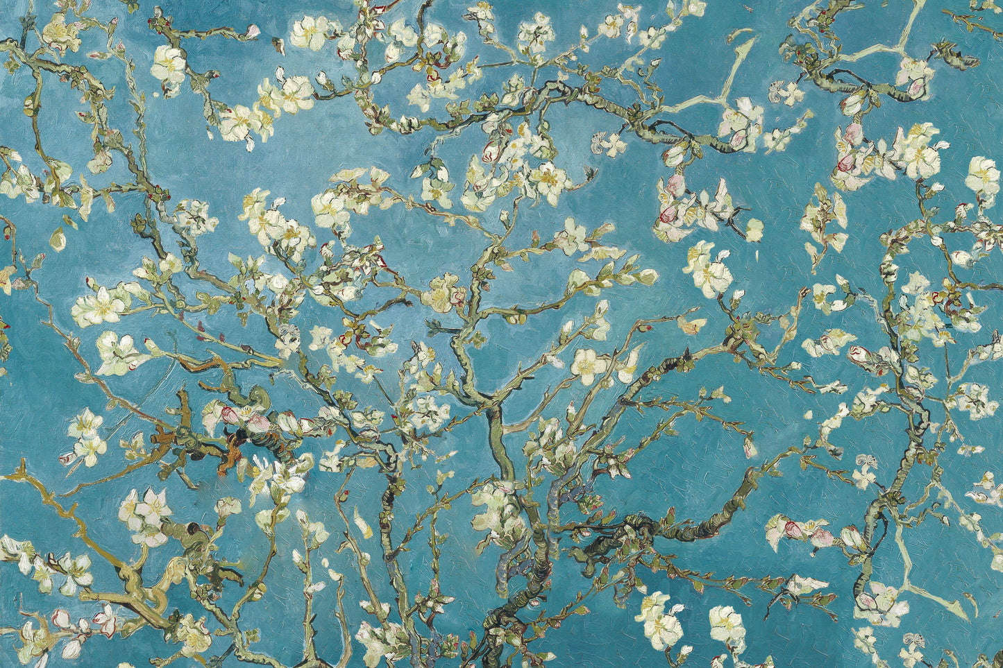 Blossoming Serenity - Almond Bloom Delight