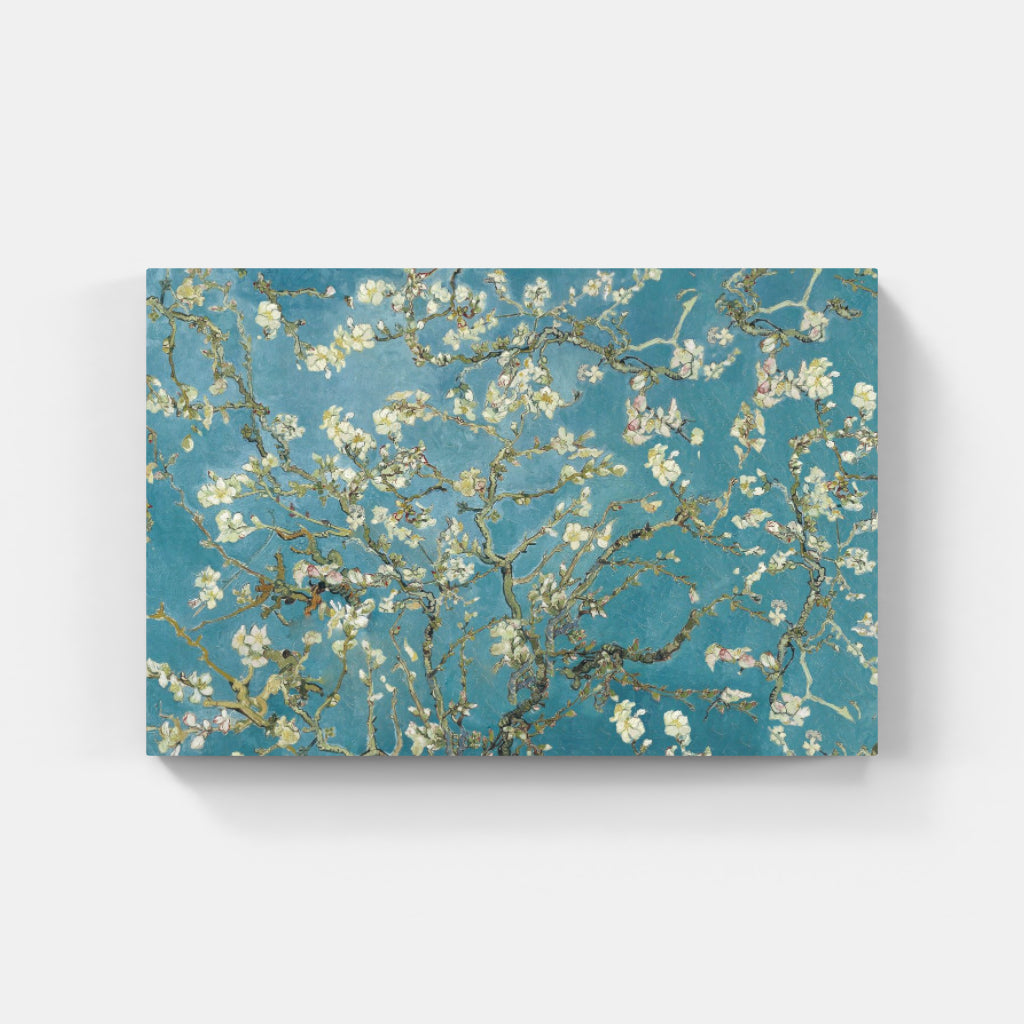 Blossoming Serenity - Almond Bloom Delight