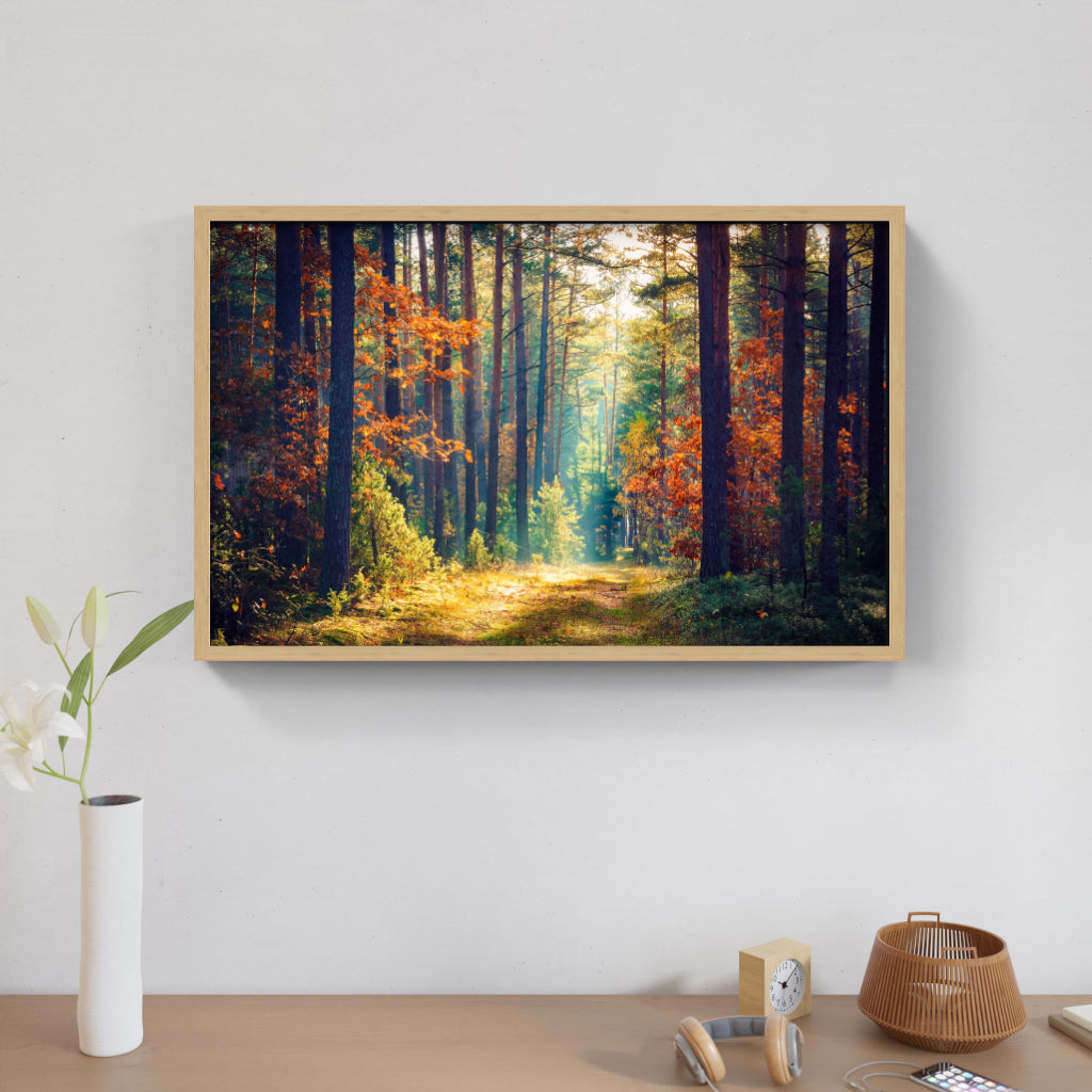 Golden Woodland Trail