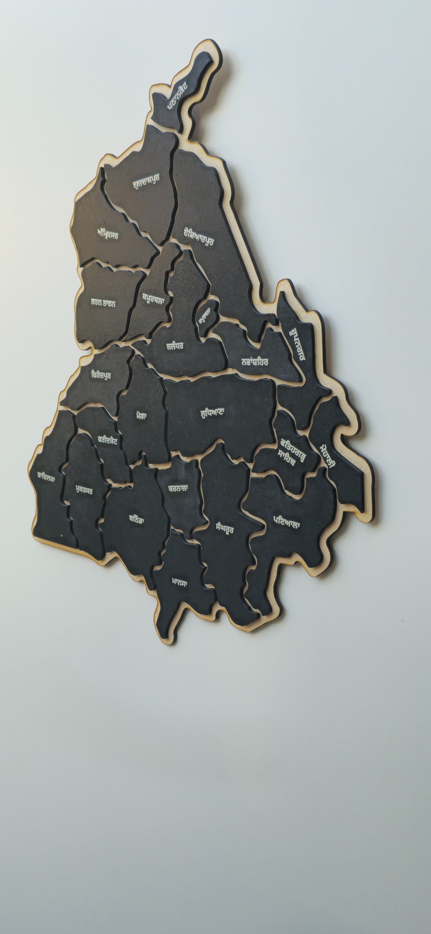 Stunning 3D Punjab District Map Wall Art