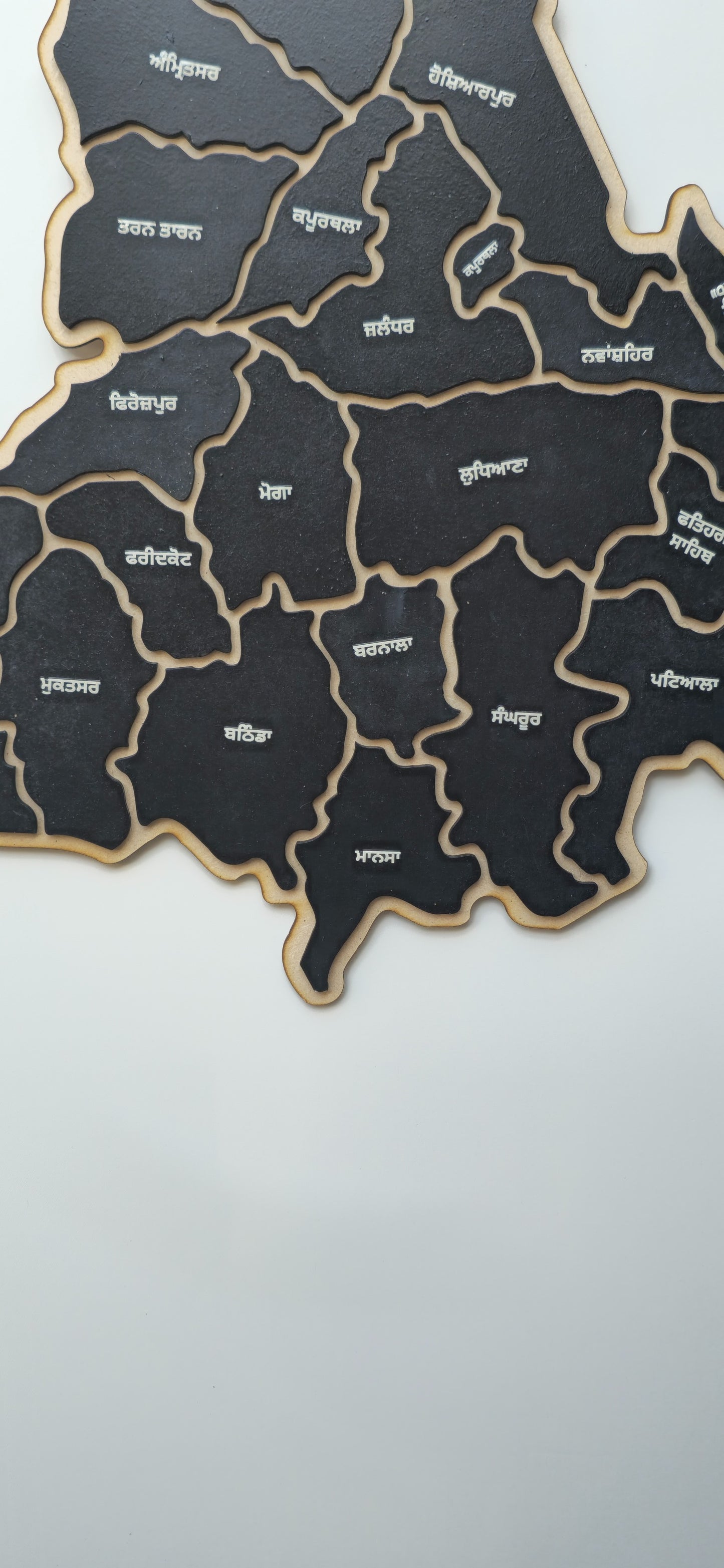 Stunning 3D Punjab District Map Wall Art