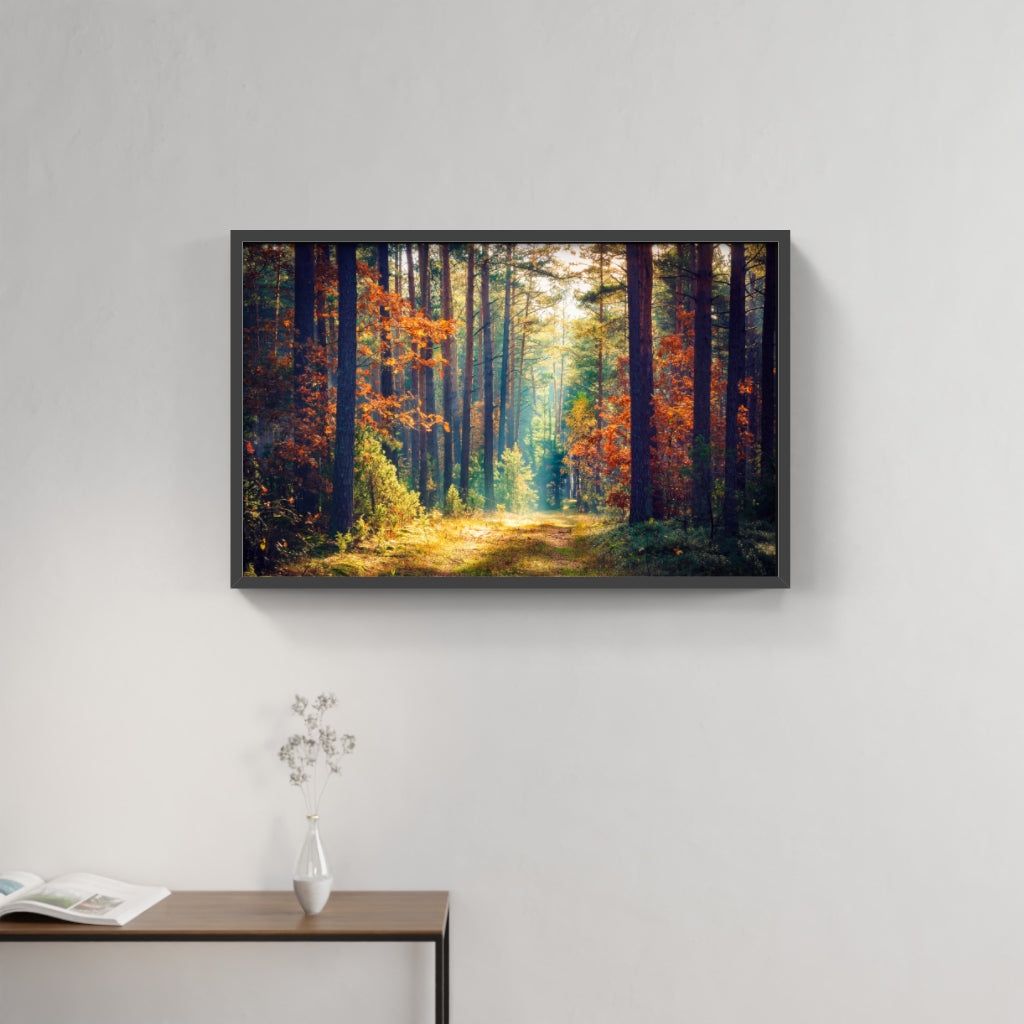 Golden Woodland Trail