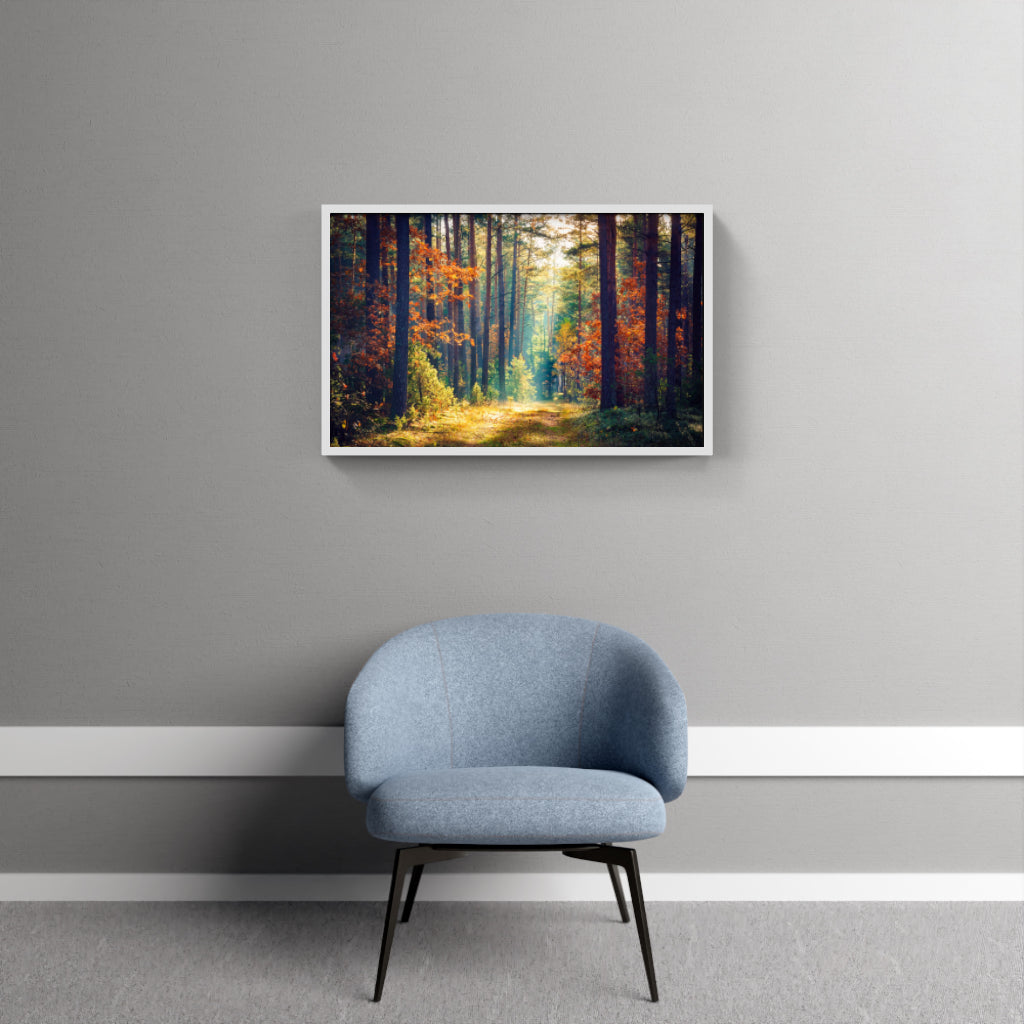 Golden Woodland Trail